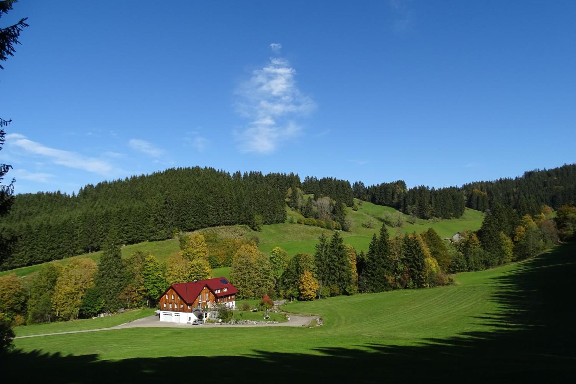 Ferienwohnung Boeck, Wengen Im Allgaeu Weitnau Exterior photo